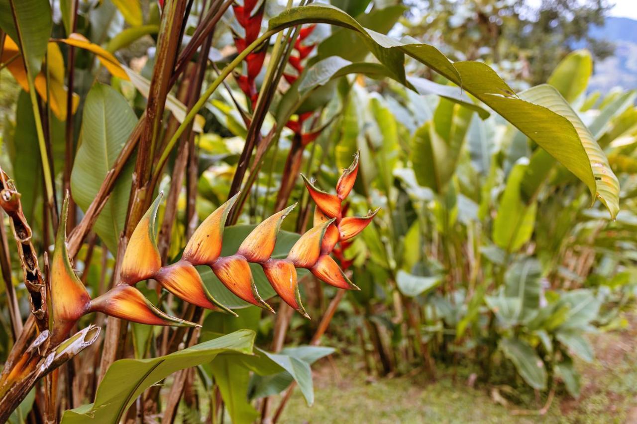 Chales Sol Paraty Kültér fotó